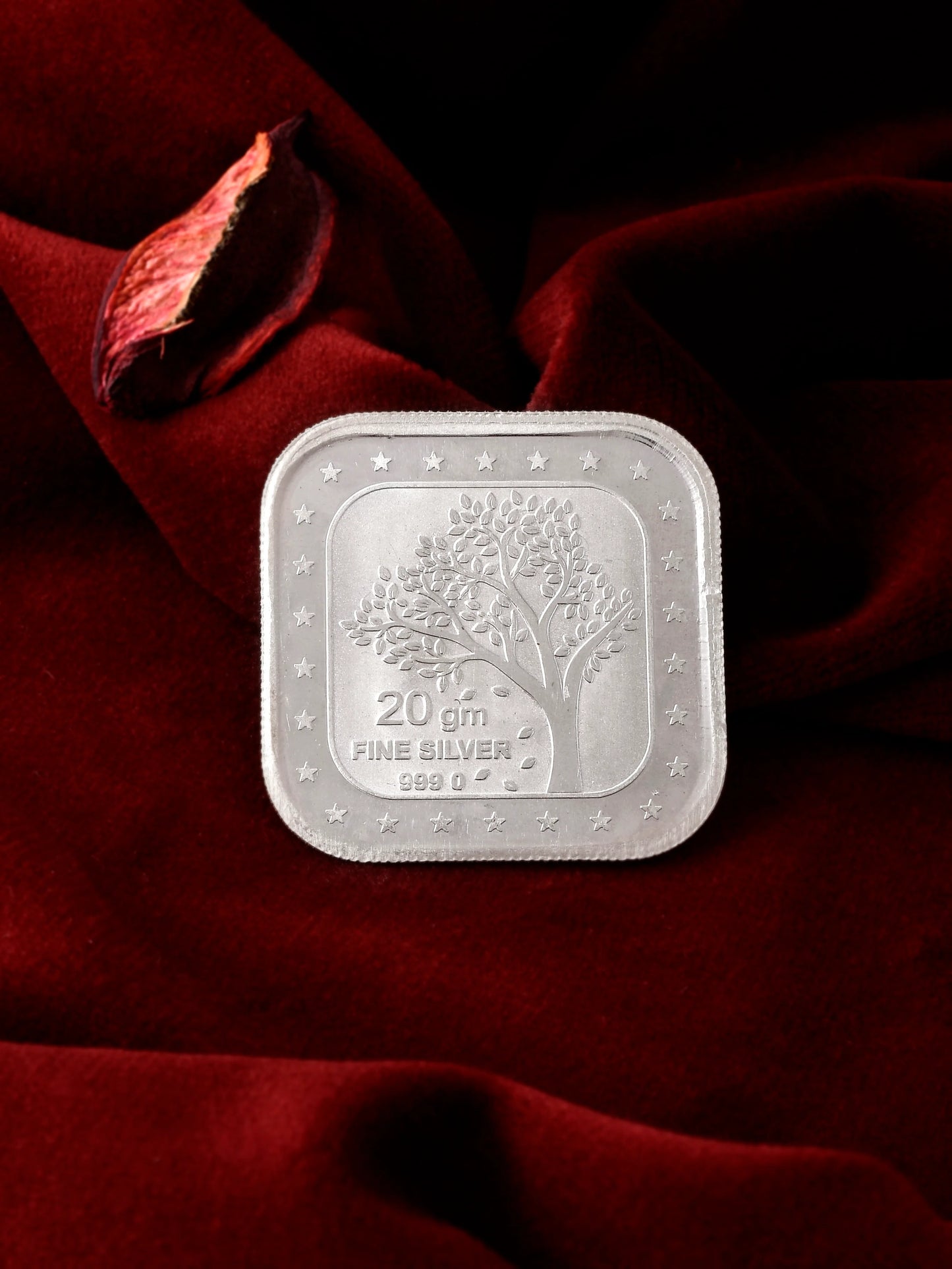 50g Customizable Silver Coin